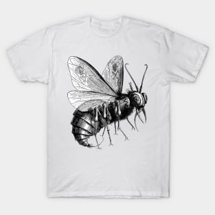 Victorian Evil Bee T-Shirt